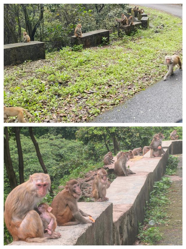 龍潭國家森林公園靜享如詩如畫的天然氧吧