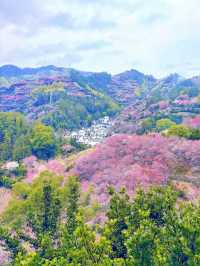 【賣花漁村】我在徽州私藏的初春仙境找到啦