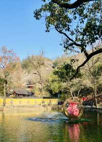 打卡《九重紫》取景地——新昌大佛寺景區！