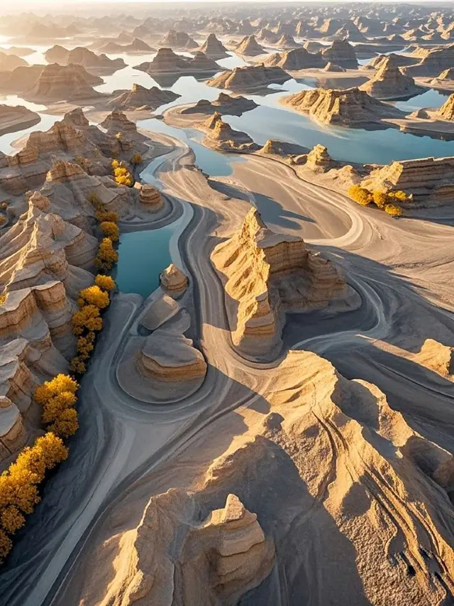 A unique travel experience to Chaerhan Salt Lake during winter vacation