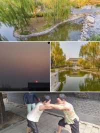 白洋淀裏，住進「水墨江南」