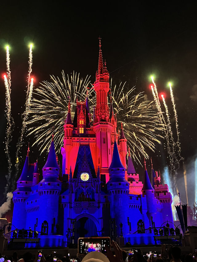 Orlando New Year Disney + Universal Four-Day Five-Park Adventure (Part 2)