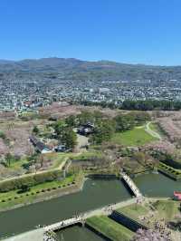7日暢遊日本 超實用全攻略
