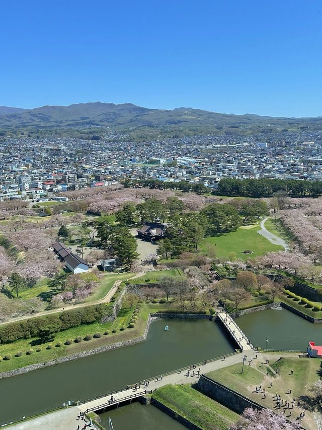 7日暢遊日本 超實用全攻略