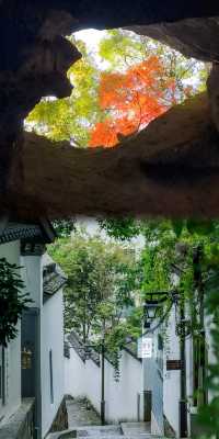 杭州五年，我最愛的六條登山秘徑