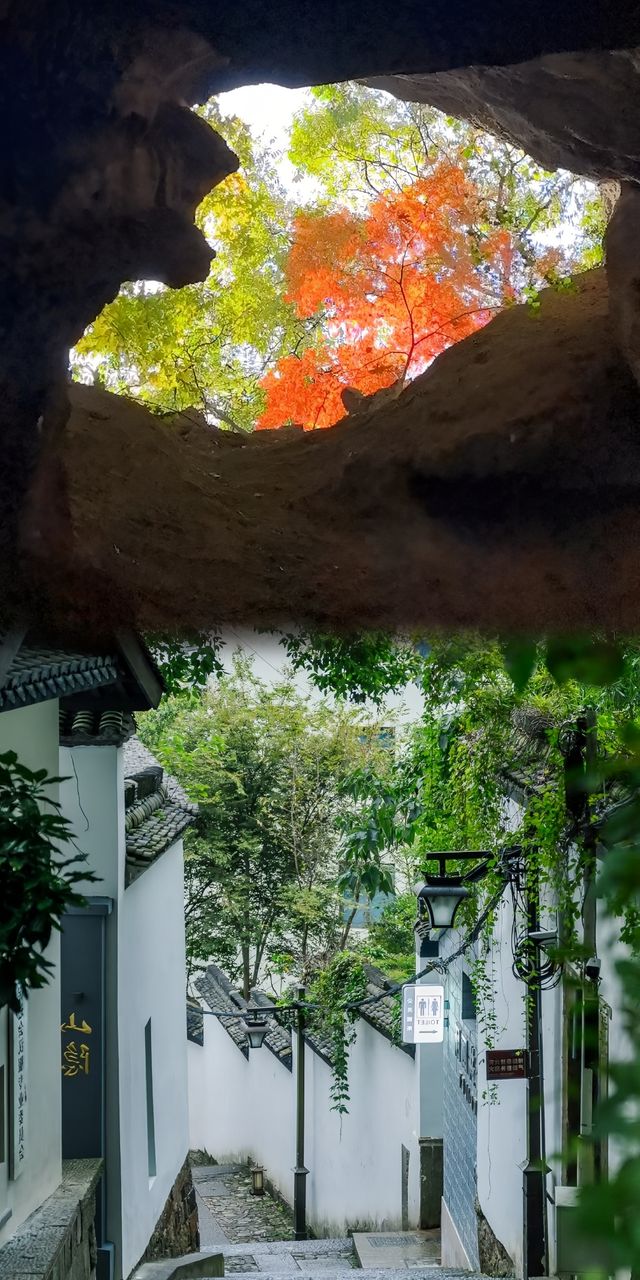 杭州五年，我最愛的六條登山秘徑