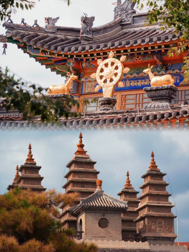 呼和浩特五塔寺博物館︱觸摸歷史的藝術瑰寶