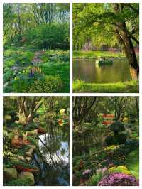 《3月上海莫奈花園，邂逅浪漫春光》