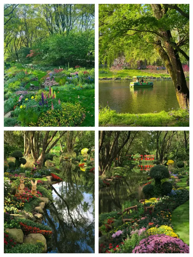 "Monet Garden in Shanghai in March, Encounter Romantic Spring Scenery"