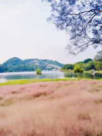 Jinzhong Lake Park walk 🌳🌱