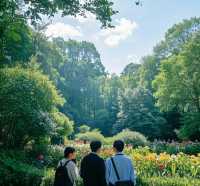 「南京綠野仙蹤」中山植物園深度探秘：解鎖都市人最治癒植物星球