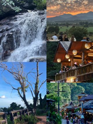 A Hidden Gem in the Tropical Rainforest