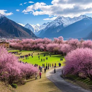 Tibet Nyingchi Peach Blossom 4-Day, 5-Day, 6-Day Travel Guide