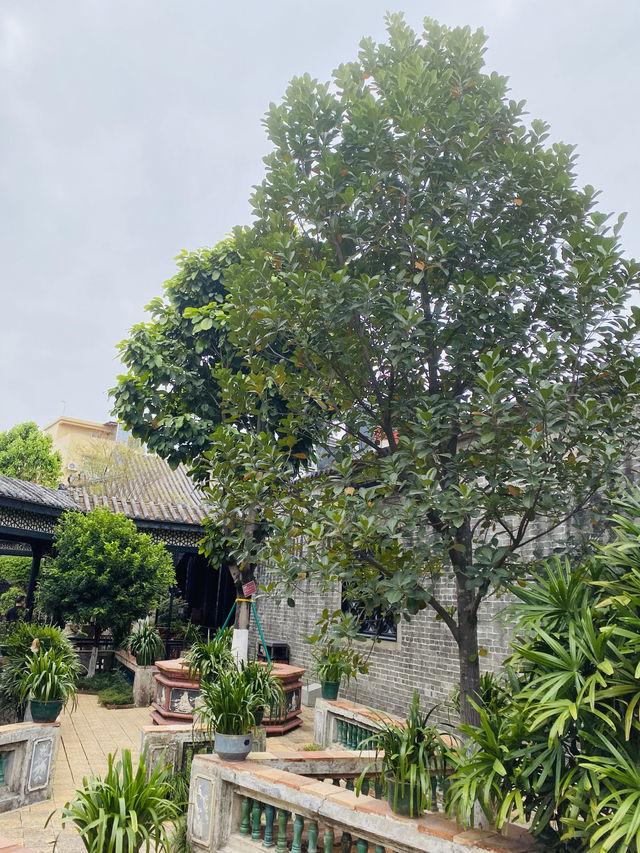 古典園林·餘蔭山房