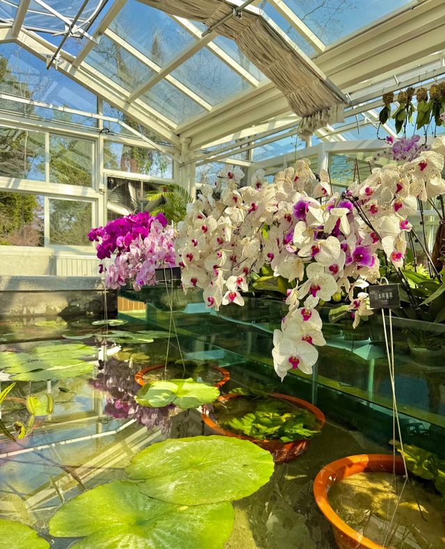 武漢植物園