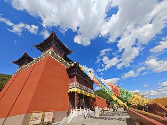 距離北京4小時車程的避世草原 週末做個快樂牧童