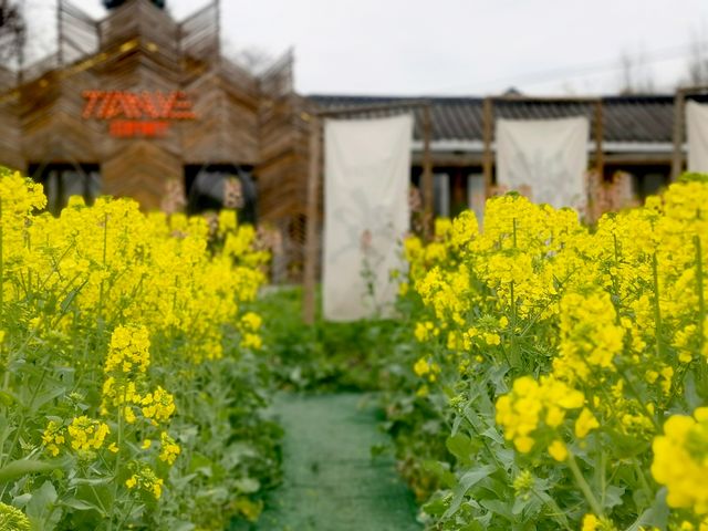 寶子們誰懂啊居然發現一個週末好去處