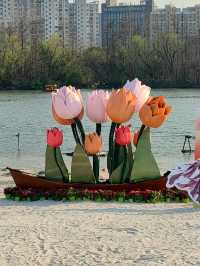 魔都嘅春天，又點可以錯過大寧鬱金香公園