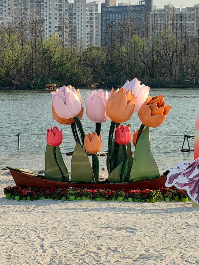 魔都嘅春天，又點可以錯過大寧鬱金香公園