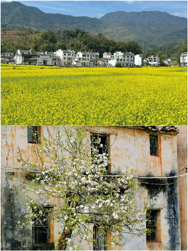 第一次來婺源，呢5個景點比篁嶺更正