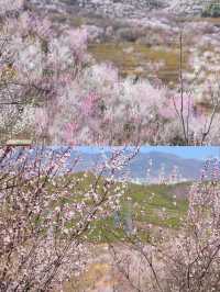 北京超美小眾登山步道，衝鴨