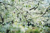 路遙知「虎」力，「捷」伴來 Hiking
