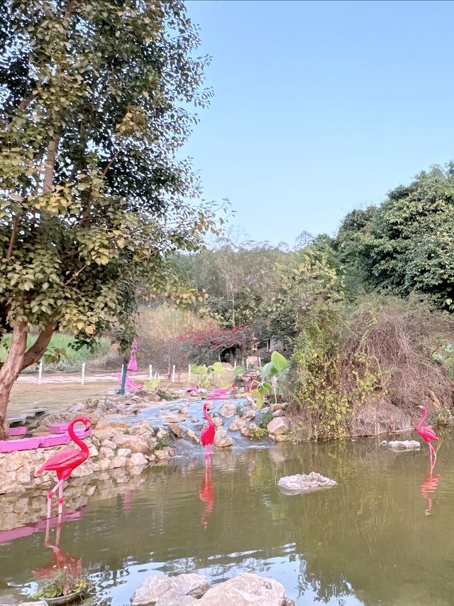 南寧周邊遛娃寶藏地，山水牧歌觀光牧場一日遊攻略