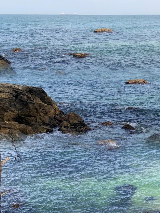 忍不住了！韓國東海小眾旅行全攻略