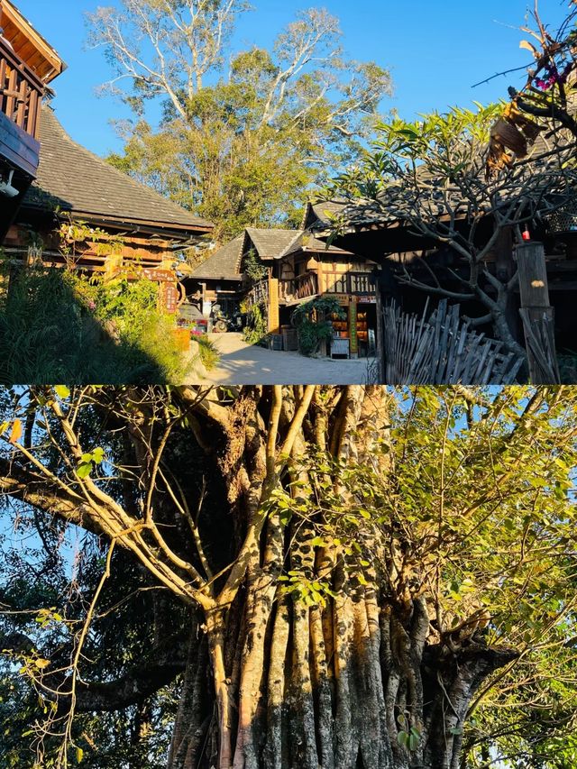 探索雲南普洱：翁基古寨的神秘面紗