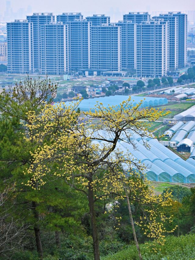 3日清明遊寧波 超詳細攻略快收藏