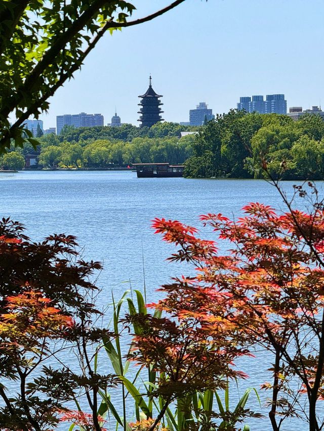 黃山3日遊 玩轉全景唔走冤枉路