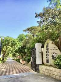 熊貓微笑，林間溫情—漫遊石排灣郊野公園