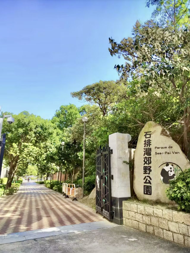 熊貓微笑，林間溫情—漫遊石排灣郊野公園