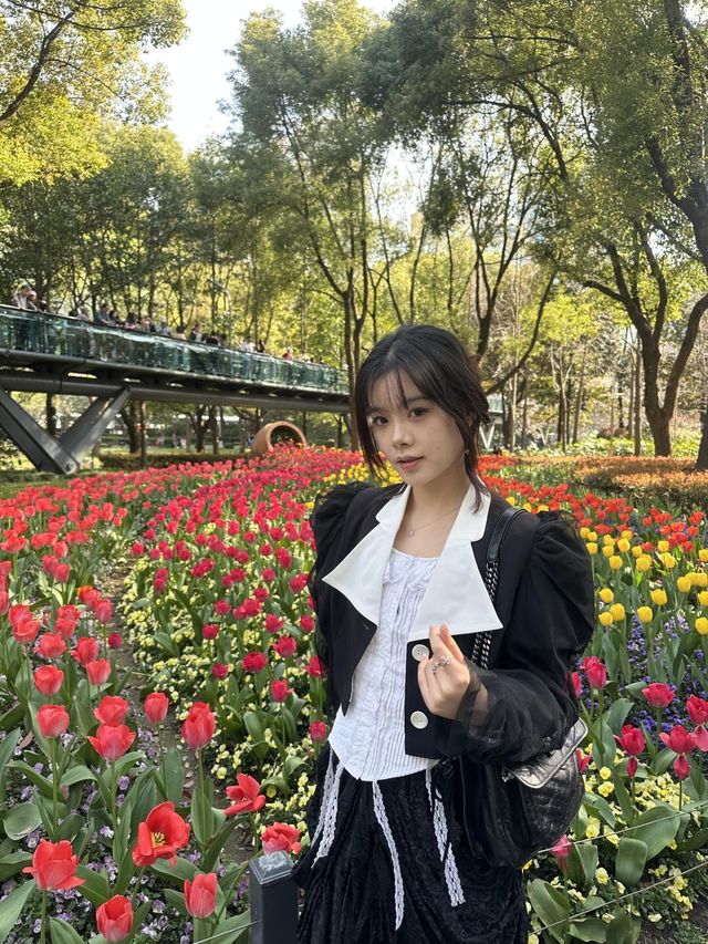 上海市區的鬱金香！徐家匯鬱金香打卡位！