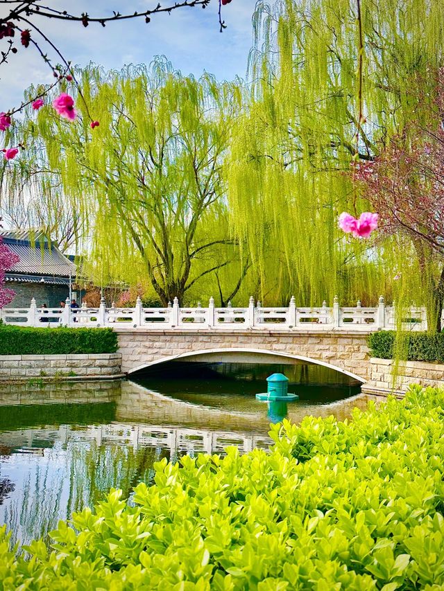 北京賞花路線分享