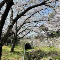 📍新山公園 | 體驗在地生活的寶藏角落