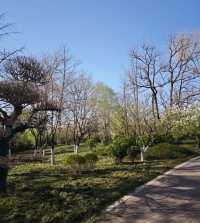 春天嘅格調就係咁靚～淄博人民公園打卡