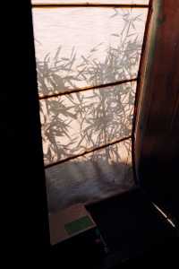 既下山沙溪體驗丨在等風來的地方自由自在
