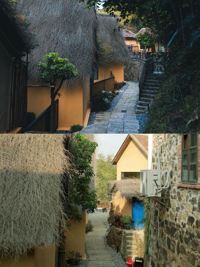 【在南昆山深處偷一段「聽竹枕溪」慢時光】
