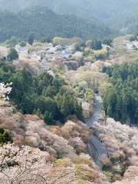 Yoshino-Kumano National Park 🏞️🌸🇯🇵