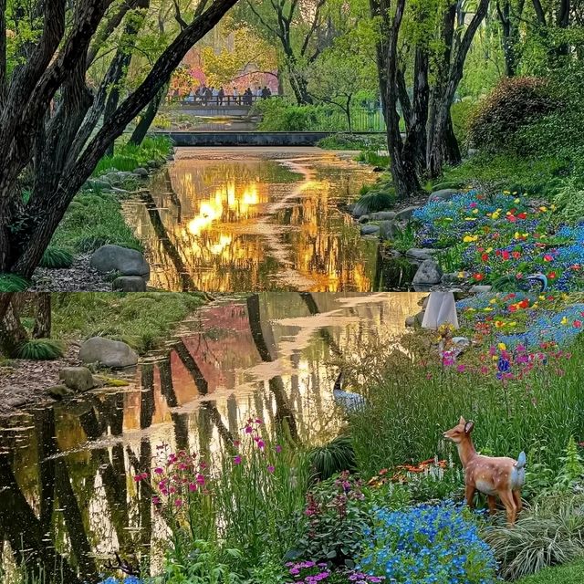 共青森林公園 現實版莫奈花園攻略來啦