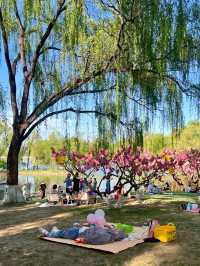 北京朝陽公園｜超全遊玩攻略