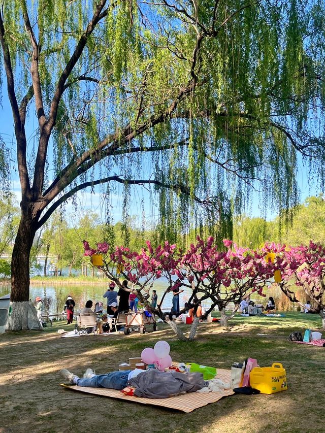 北京朝陽公園｜超全遊玩攻略