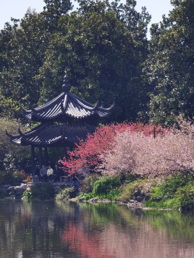 五一來杭州必看！避開人潮暢玩西湖小眾寶藏路線