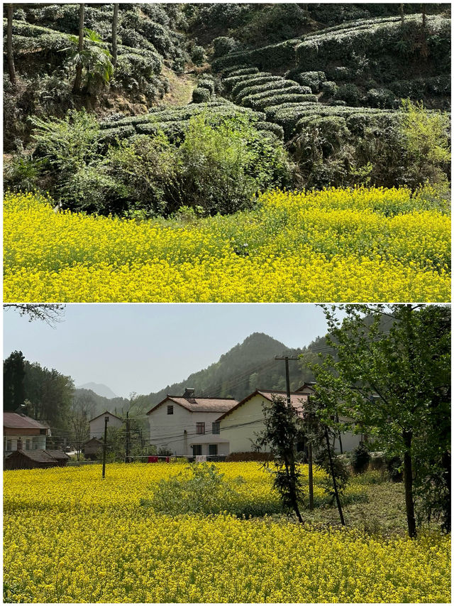 第一次去漢中，直接複製這個路線