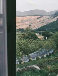 森林氧吧，佛山高明皂幕山治癒了我的精神內耗