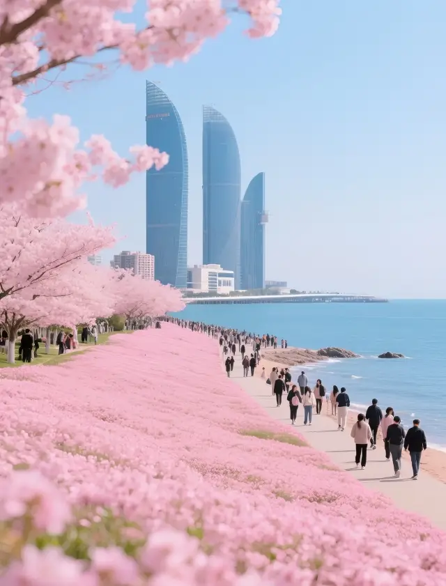 釜山海雲台藍線公園：舊鐵軌上的浪漫邂逅