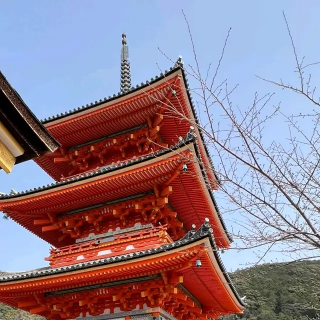 🇯🇵大阪五天四夜攻略｜日均暴走2萬步👻🛍️買到失心瘋，逛到不想回家！