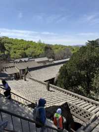 五一走跳｜探訪佛門清淨地·佛光寺