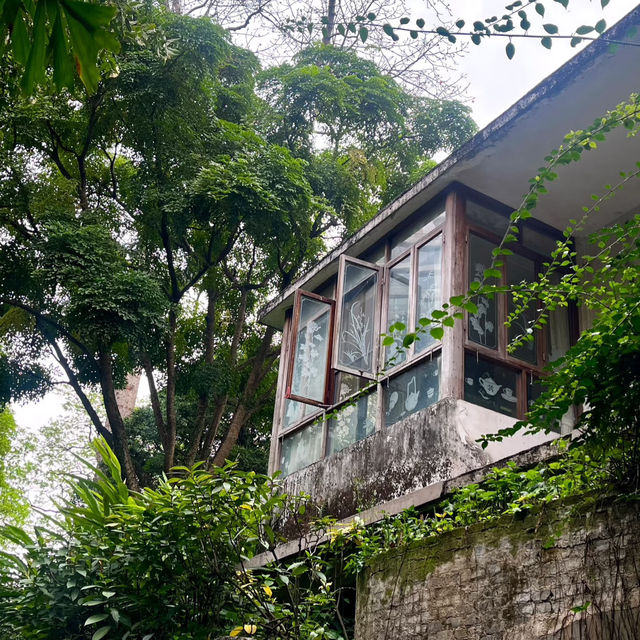 廣州蘭圃｜藏身都市的森林花園